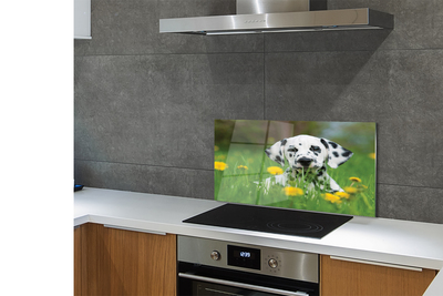 Szklany Panel Szczęśliwy Pies na Zielonej Łące