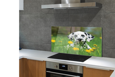 Szklany Panel Szczęśliwy Pies na Zielonej Łące