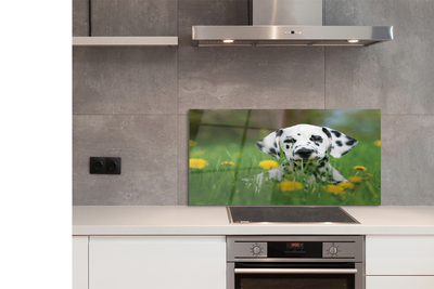 Szklany Panel Szczęśliwy Pies na Zielonej Łące