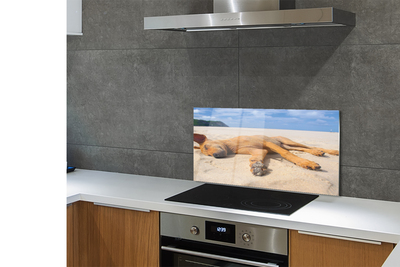 Szklany Panel Relaks Psa na Gorącym Piasku