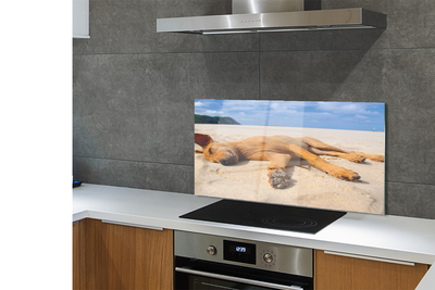 Szklany Panel Relaks Psa na Gorącym Piasku