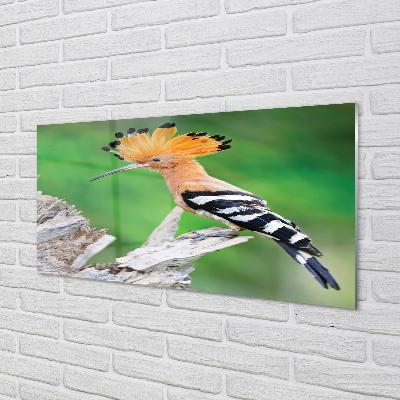 Panel szklany do Kuchni Papuga w Sercu Dżungli