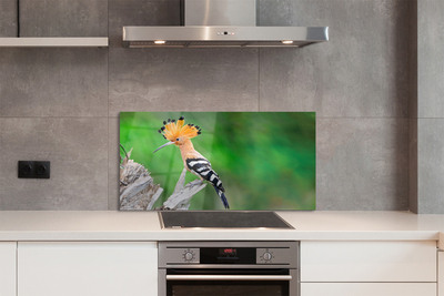 Panel szklany do Kuchni Papuga w Sercu Dżungli