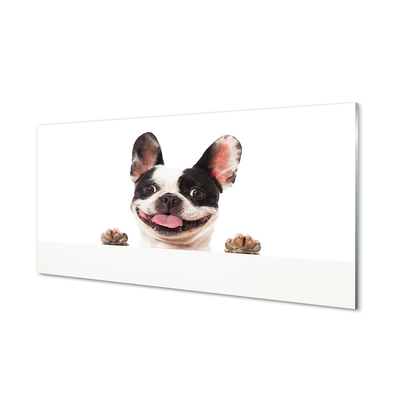 Panel Kuchenny Szklany Spojrzenie Wiernego Przyjaciela