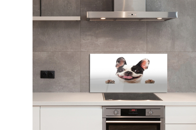 Panel Kuchenny Szklany Spojrzenie Wiernego Przyjaciela