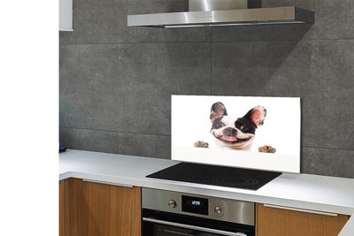 Panel Kuchenny Szklany Spojrzenie Wiernego Przyjaciela