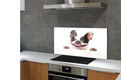 Panel Kuchenny Szklany Spojrzenie Wiernego Przyjaciela
