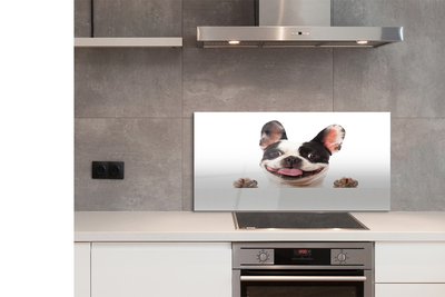 Panel Kuchenny Szklany Spojrzenie Wiernego Przyjaciela