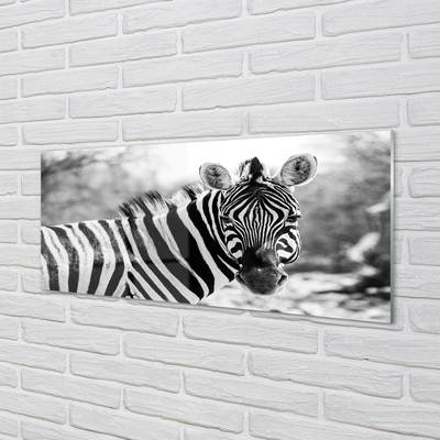 Panel szklany do Kuchni Zebra w Stylu Retro