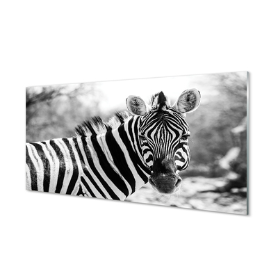 Panel szklany do Kuchni Zebra w Stylu Retro