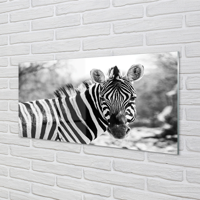 Panel szklany do Kuchni Zebra w Stylu Retro