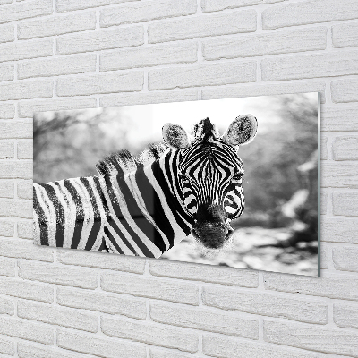 Panel szklany do Kuchni Zebra w Stylu Retro