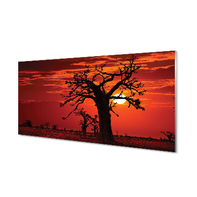 Szklany Panel Drzewa pod Zachmurzonym Niebem