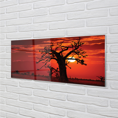 Szklany Panel Drzewa pod Zachmurzonym Niebem