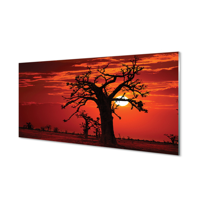 Szklany Panel Drzewa pod Zachmurzonym Niebem