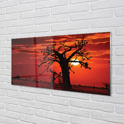 Szklany Panel Drzewa pod Zachmurzonym Niebem
