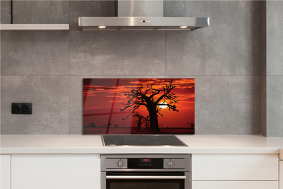 Szklany Panel Drzewa pod Zachmurzonym Niebem