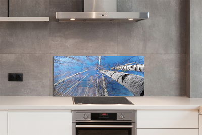 Szklany Panel Brzozowe Korony i Błękit Nieba