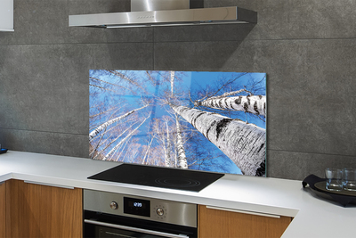 Szklany Panel Brzozowe Korony i Błękit Nieba