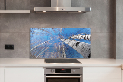 Szklany Panel Brzozowe Korony i Błękit Nieba