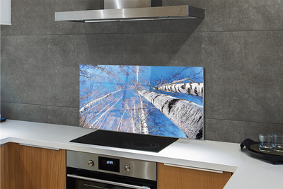 Szklany Panel Brzozowe Korony i Błękit Nieba