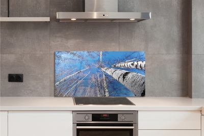 Szklany Panel Brzozowe Korony i Błękit Nieba