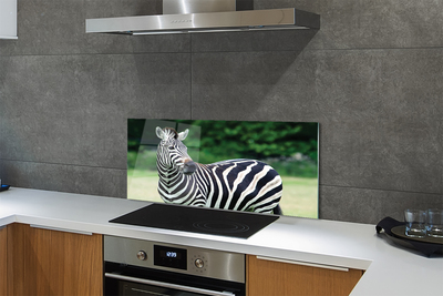 Panel szklany do Kuchni Zebra na tle Afrykańskiej Równiny