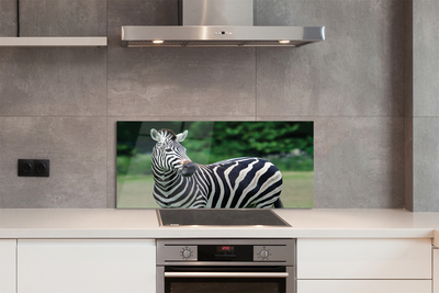 Panel szklany do Kuchni Zebra na tle Afrykańskiej Równiny
