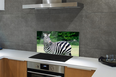 Panel szklany do Kuchni Zebra na tle Afrykańskiej Równiny