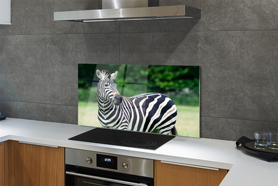 Panel szklany do Kuchni Zebra na tle Afrykańskiej Równiny