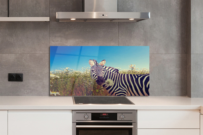 Panel szklany do Kuchni Zebra wśród Polnych Kwiatów
