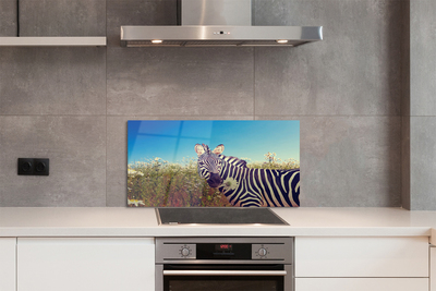 Panel szklany do Kuchni Zebra wśród Polnych Kwiatów