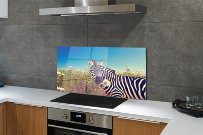 Panel szklany do Kuchni Zebra wśród Polnych Kwiatów