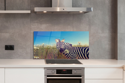 Panel szklany do Kuchni Zebra wśród Polnych Kwiatów