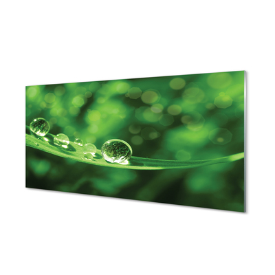 Szklany Panel Rosa w Przybliżeniu