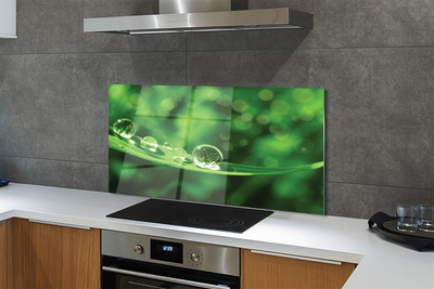 Szklany Panel Rosa w Przybliżeniu