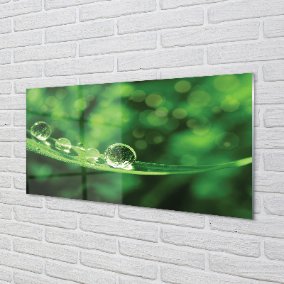 Szklany Panel Rosa w Przybliżeniu