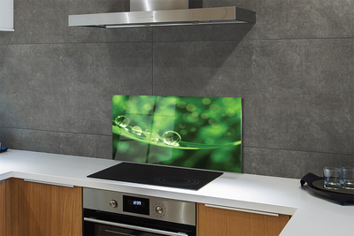 Szklany Panel Rosa w Przybliżeniu