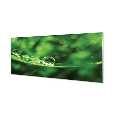 Szklany Panel Rosa w Przybliżeniu