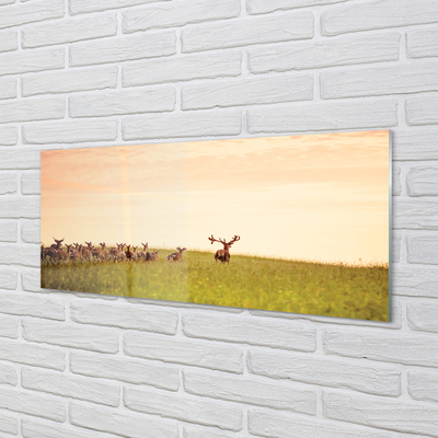 Panel Szklany Stado jeleni pole wschód słońca