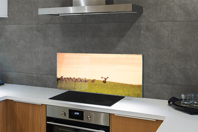 Panel nad Blat Kuchenny Stado Jeleni o Poranku