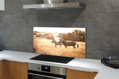 Panel szklany do Kuchni Sylwetka Zebry o Zachodzie