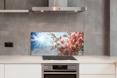 Szklany Panel Magnolia na tle Błękitnego Nieba