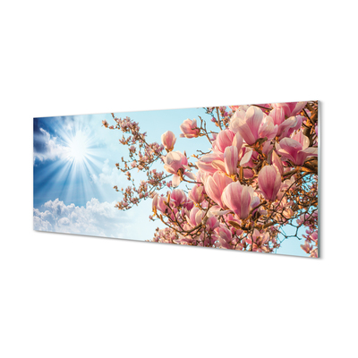Szklany Panel Magnolia niebo słońce