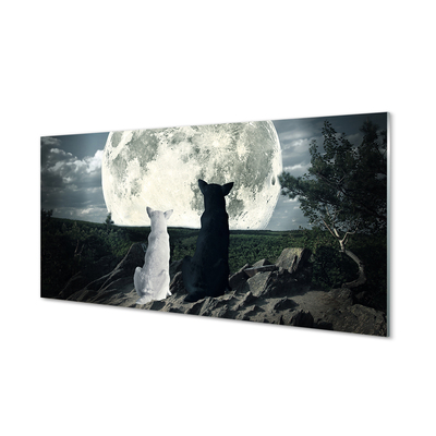 Panel Szklany Wilki księżyc las