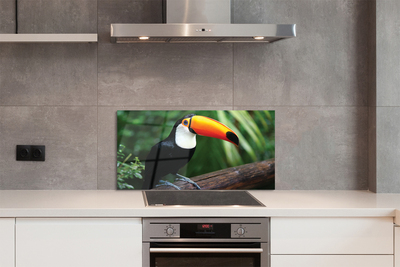 Panel szklany do Kuchni Tukan: Symbol Tropików