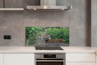 Szklany Panel Tygrys w Sercu Lasu