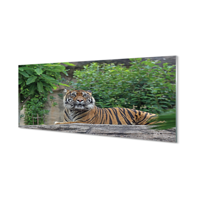 Szklany Panel Tygrys w Sercu Lasu