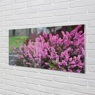 Panel Kuchenny Szklany Gałązki Fioletowych Wrzosów