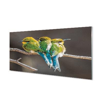 Panel Szklany Ptaki na gałęzi